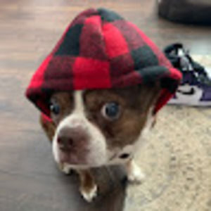 Meet your Posher, Hailey